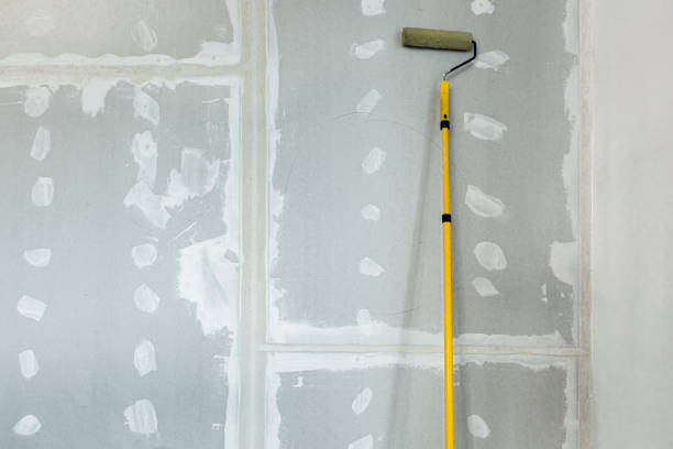 Mold Odor Removal Services in Glenmont, MD