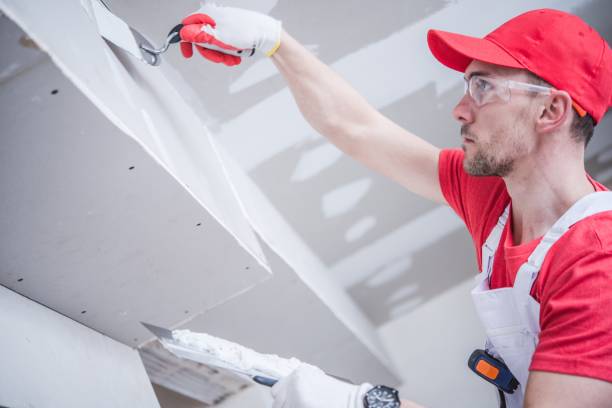 Best Industrial Mold Remediation  in Glenmont, MD